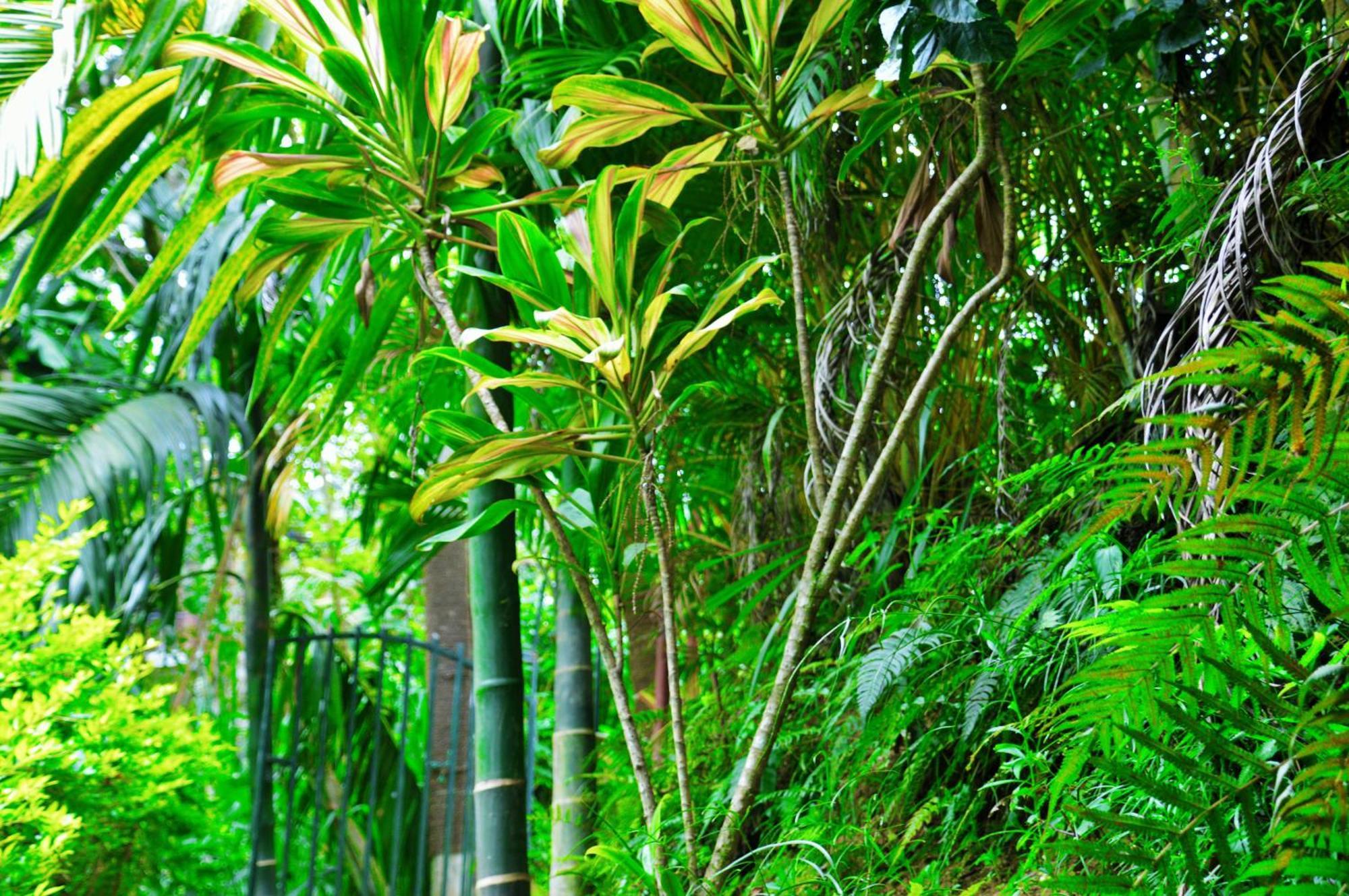 Green Cottage Ella Exterior photo